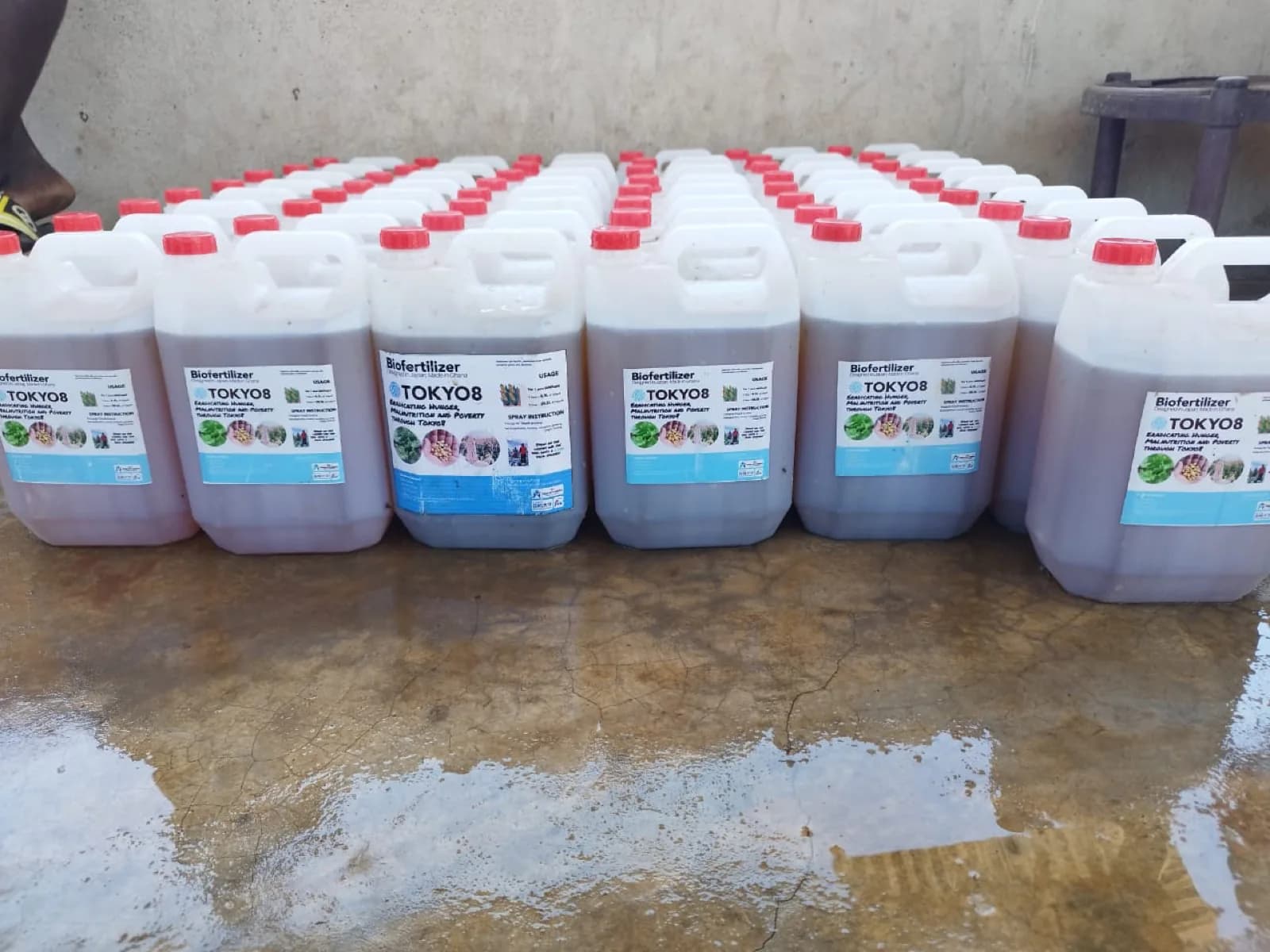 Row of labelled Tokyo8 Biofertilizer 5-litre jerrycans, packed for delivery
